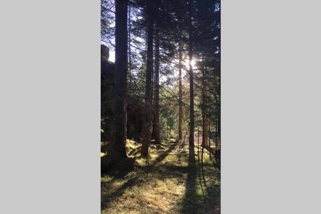 Gemuetliches Ferienhaus Am Waldrand 特洛普拉赫 外观 照片